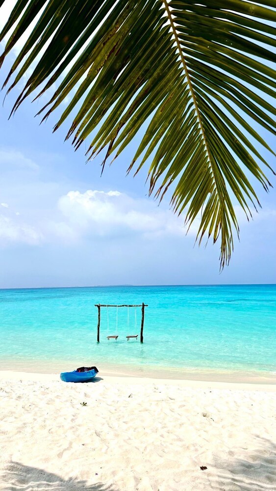 Blue Coral Vashafaru