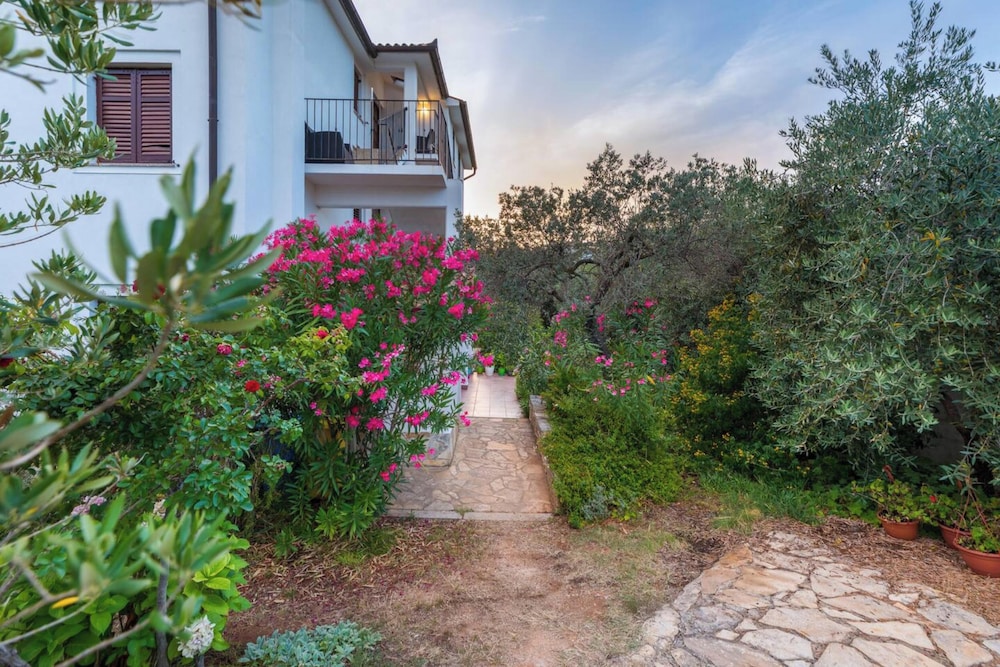 Apartments Amalia