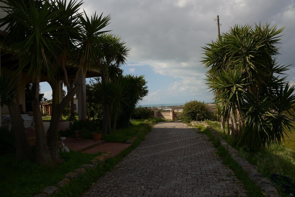 Photo 27