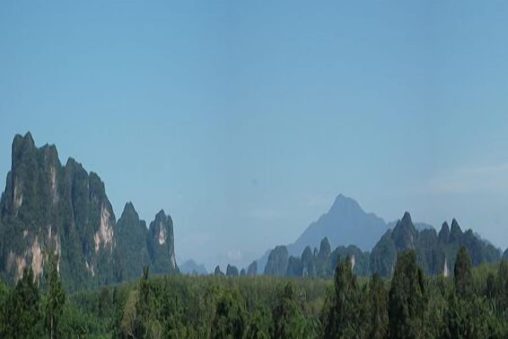 Photo 41
