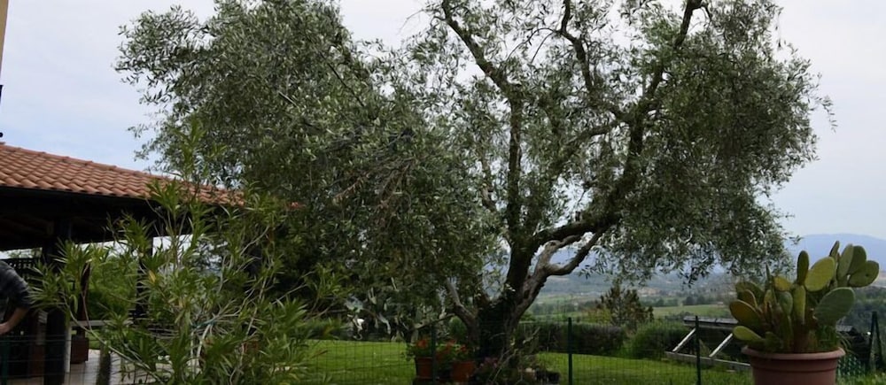 Casale Di Colle view 5