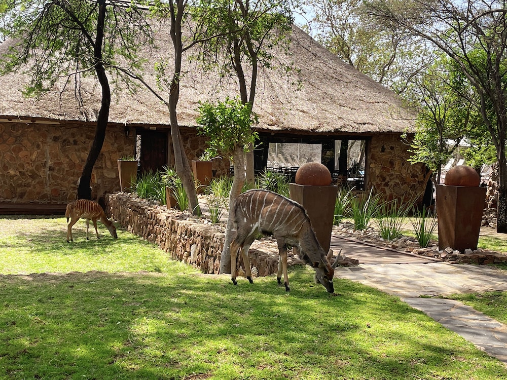 Finfoot Lake Reserve by Dream Resorts