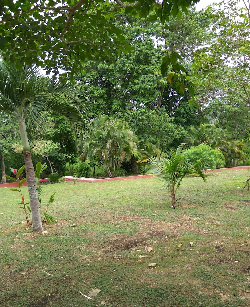 Palenque Vacations - Cabanas el Porvenir - Property Image 10