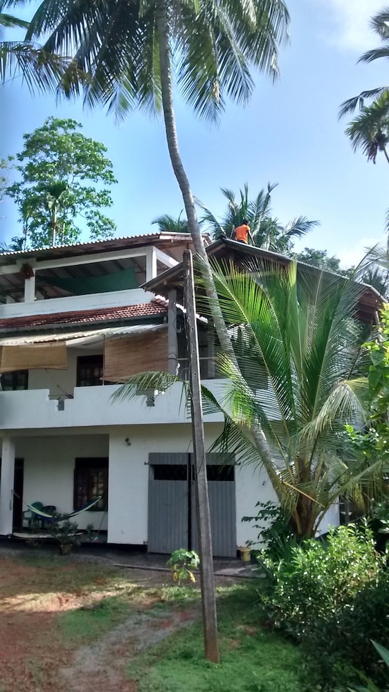 Jungleside House