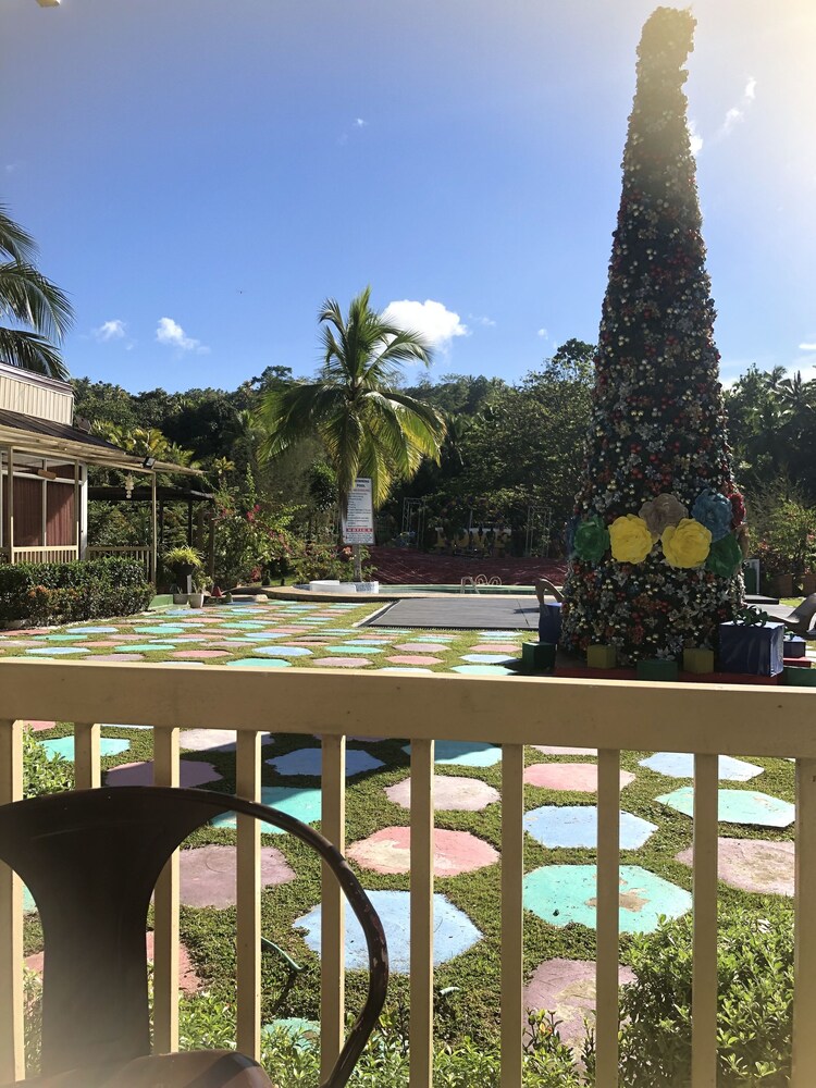 Photo 22
