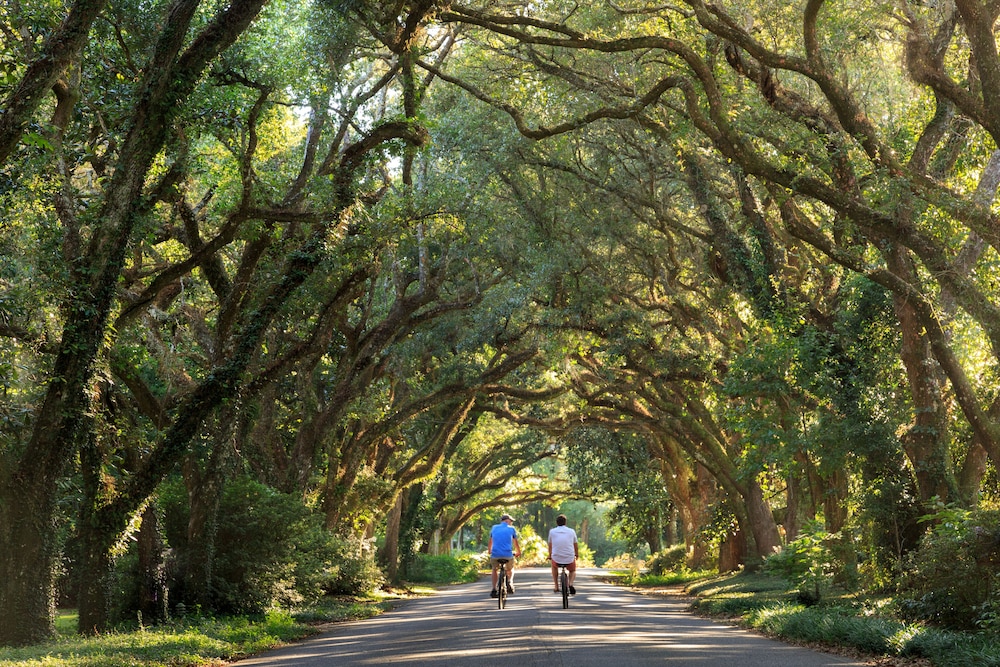 Magnolia Springs B&B