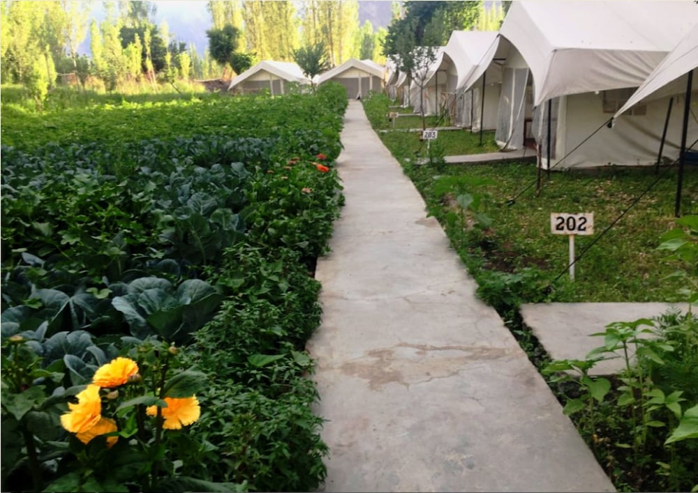 TIH Mystique Meadows Camp