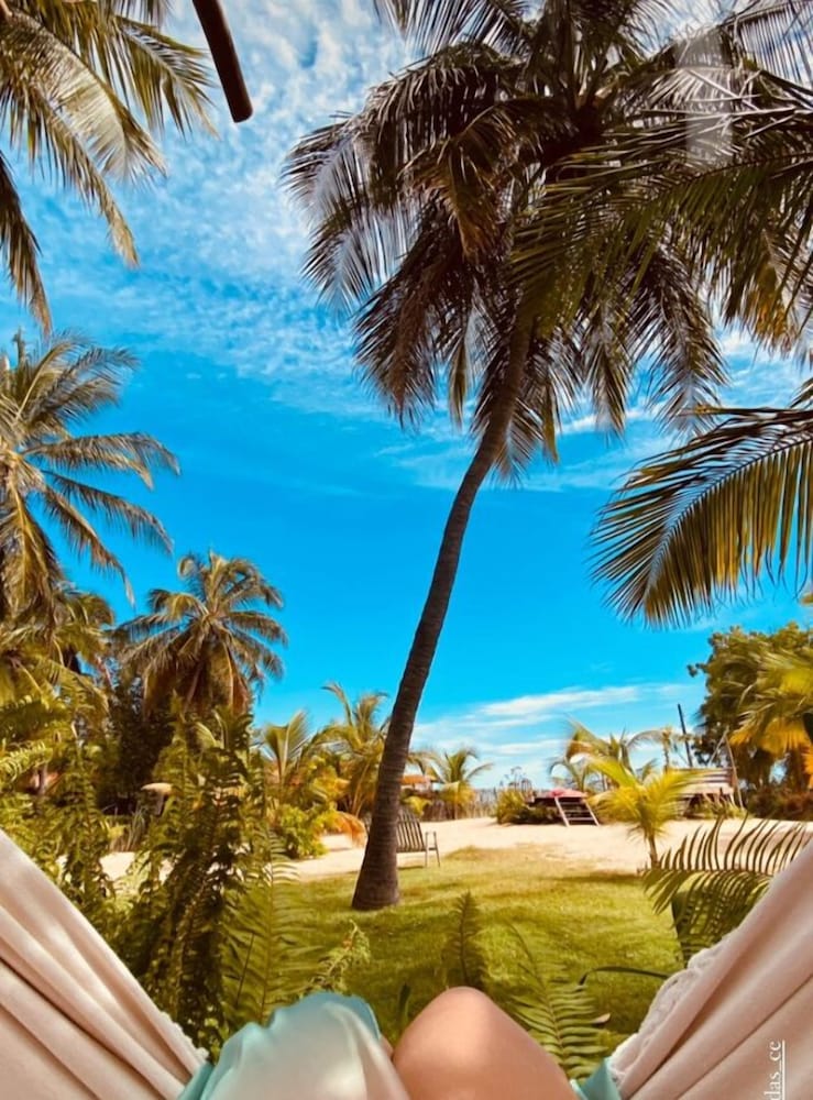 Casa das Rendas Exclusive Bungalows view 5
