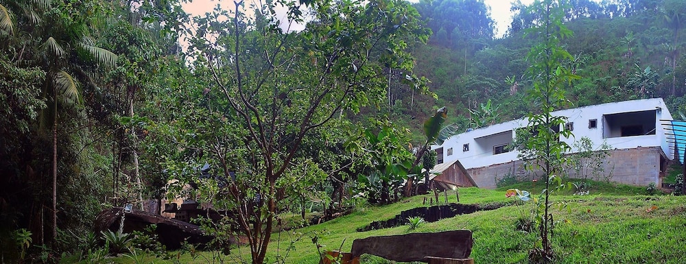 Águas da Mata
