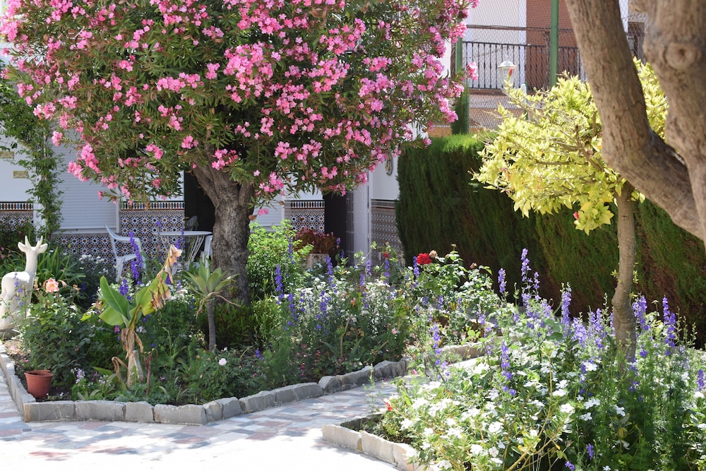 Apartamentos El Jardin view 5