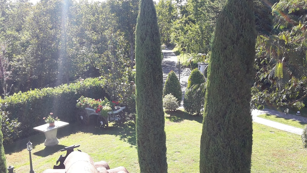 Photo 39