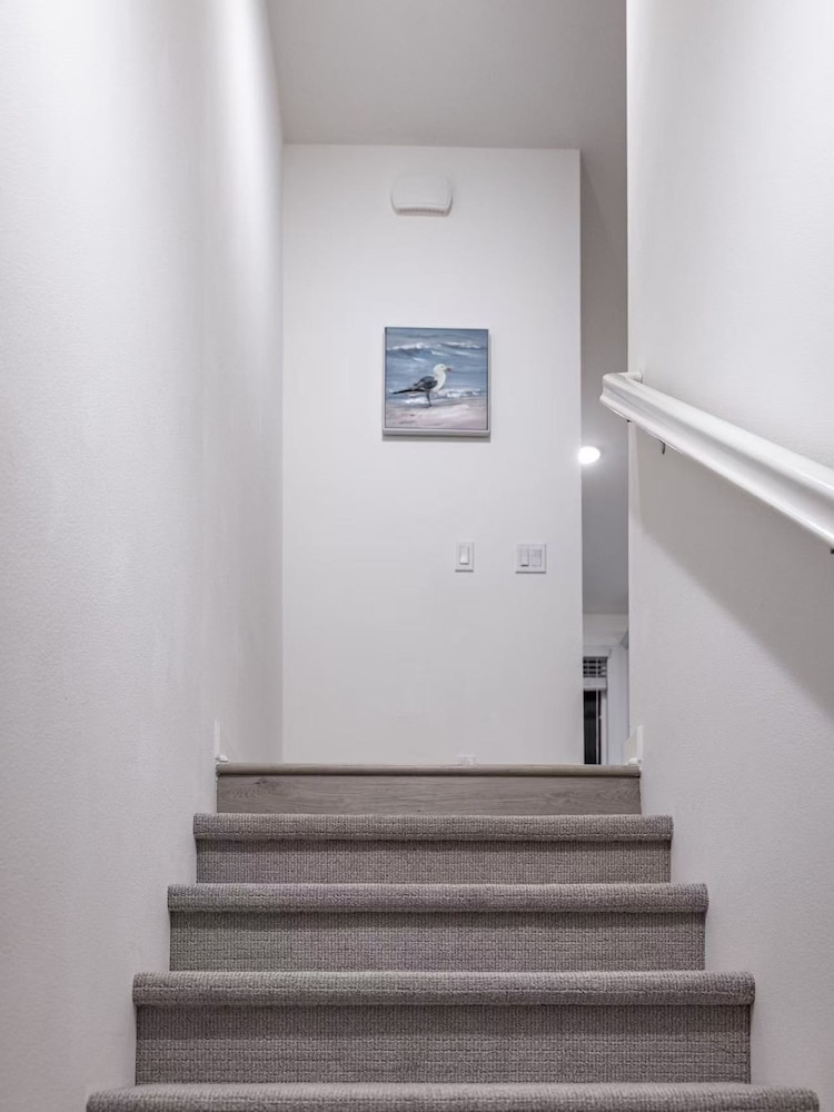 Modern Designer Stay Bright Chic Spacious