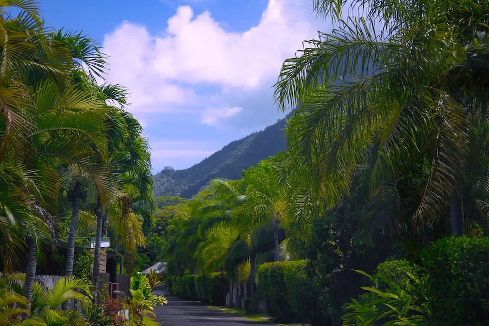 Vasion Moorea Entre Lagon et Plages de r ve