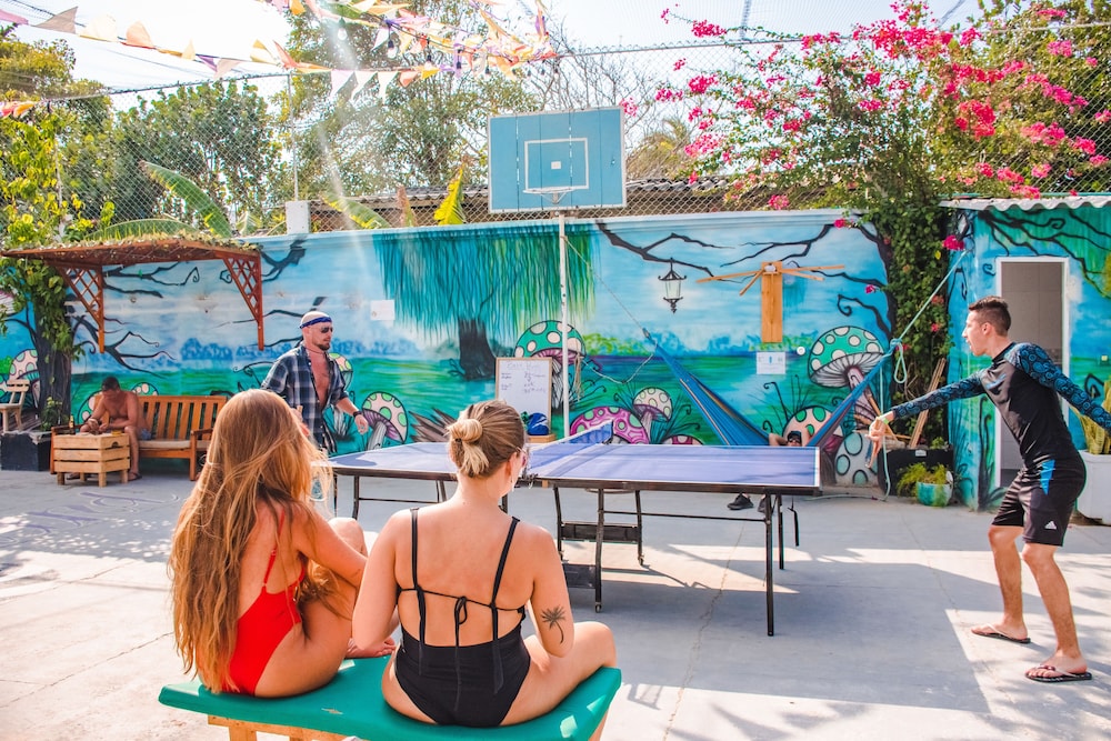 Wonderland Hostel By GB Collection