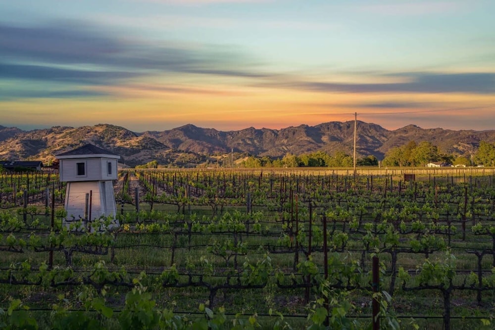 French Provencal Chateau in the Heart of Napa