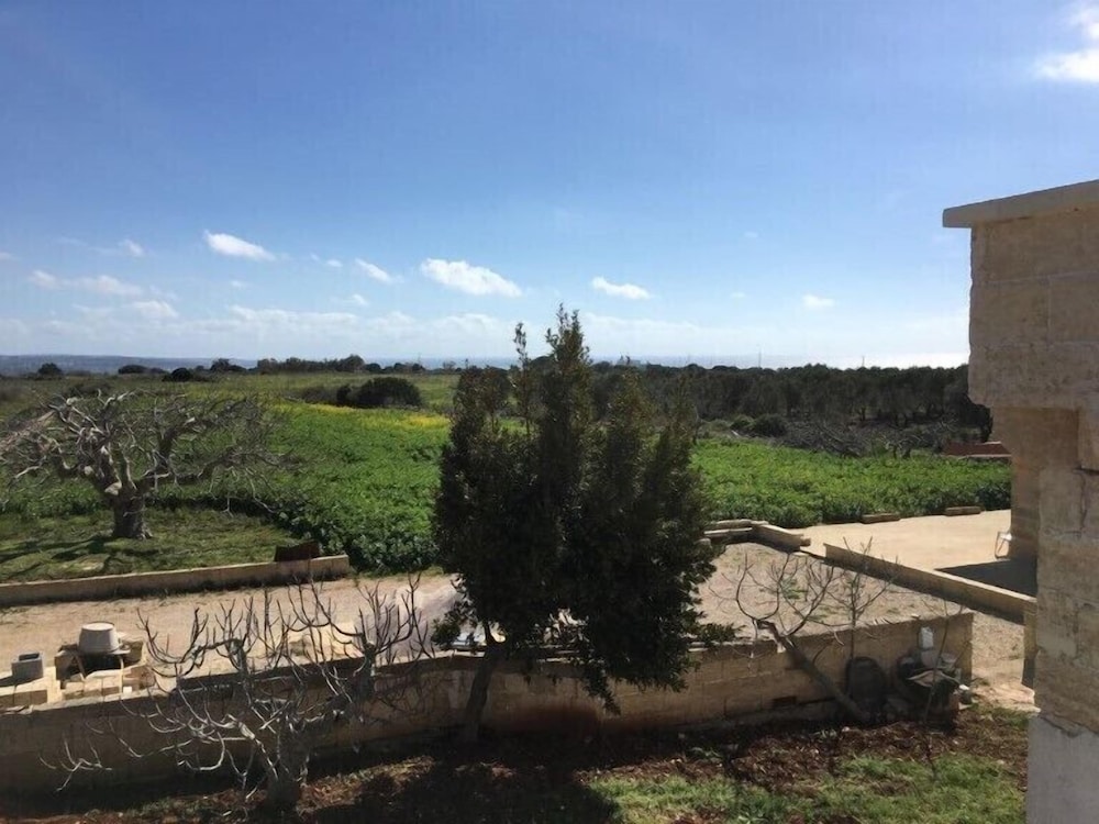 Tenuta Palmira