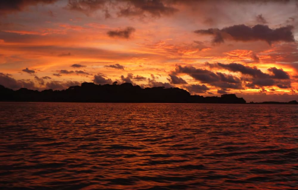 Isla Palenque Member of the Cayuga Collection
