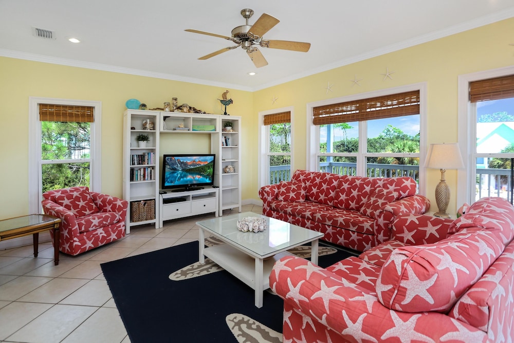 Cape Palms