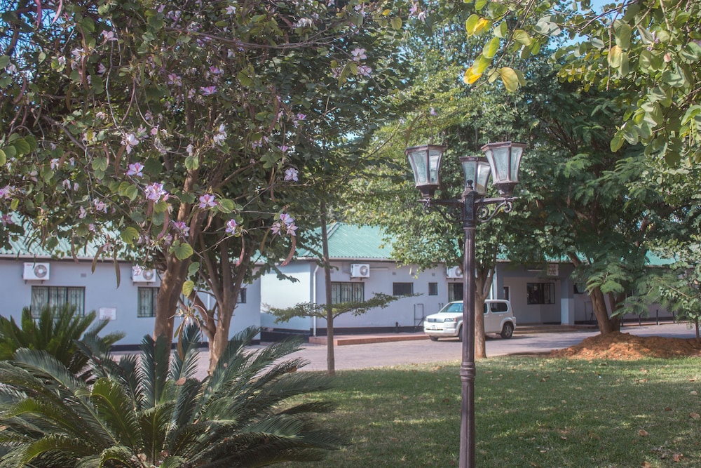 Photo 12