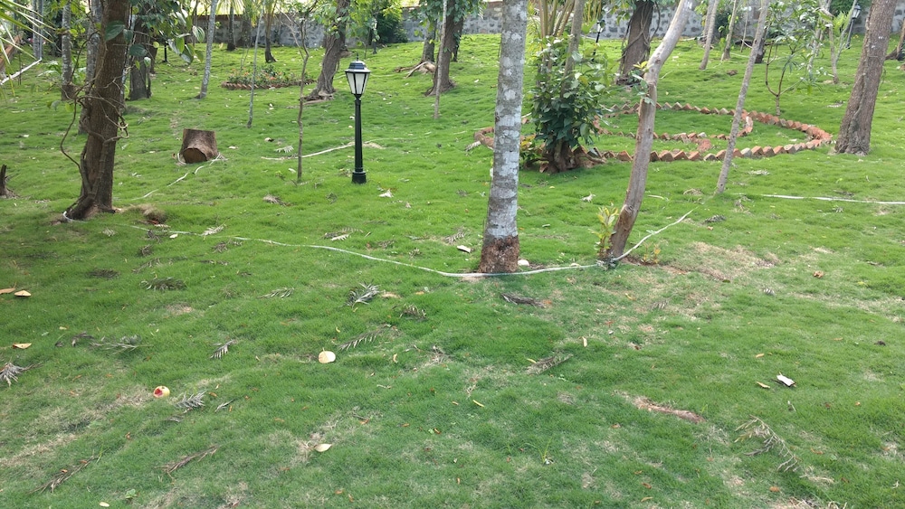 The Brook Resorts & Spa