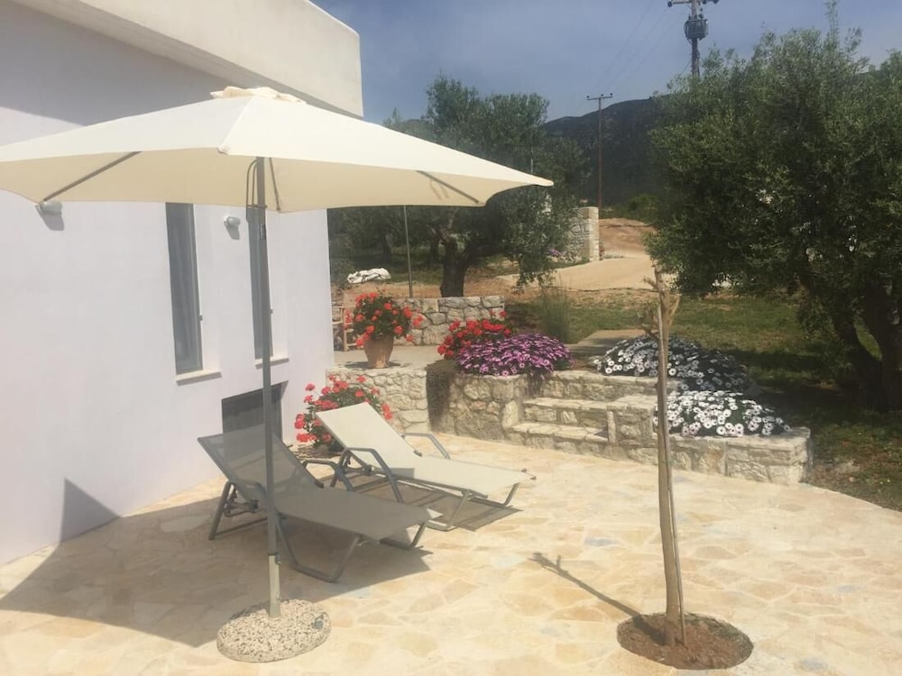 The Olive Grove Tsapi photo 4