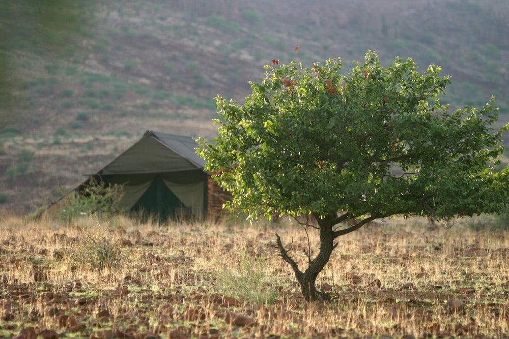 Etendeka Mountain Camp