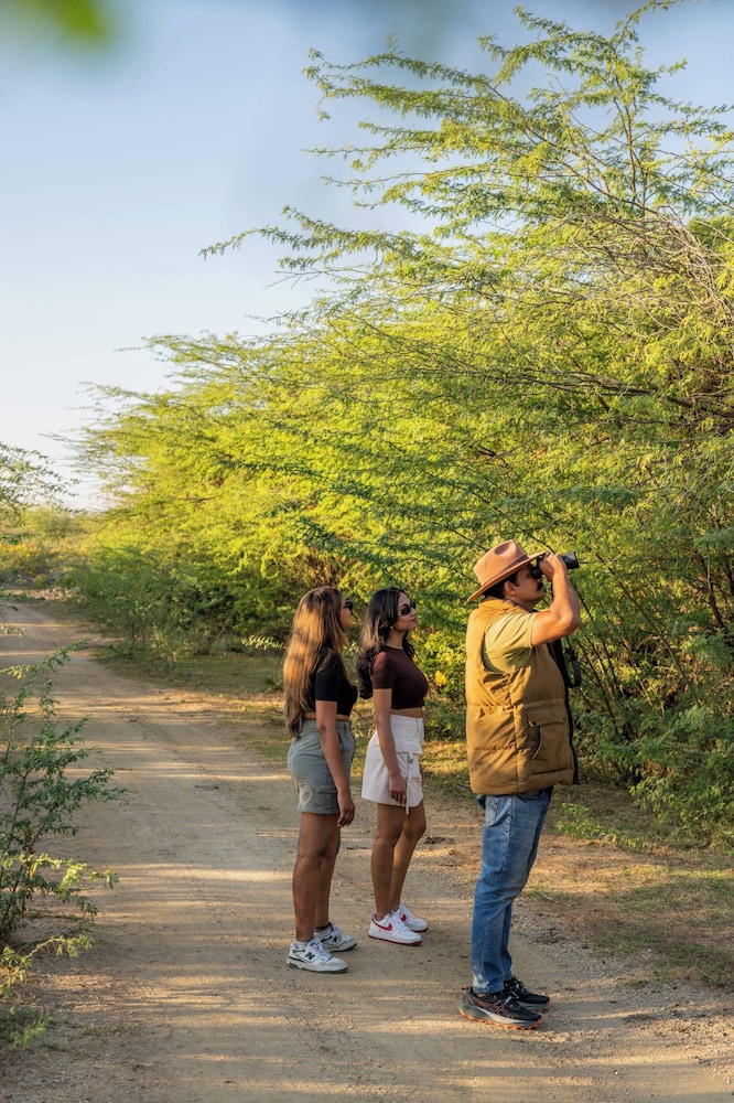 juSta Luxe Highpoint Jawai