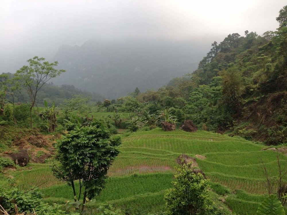 Linh Soi Homestay - Hostel