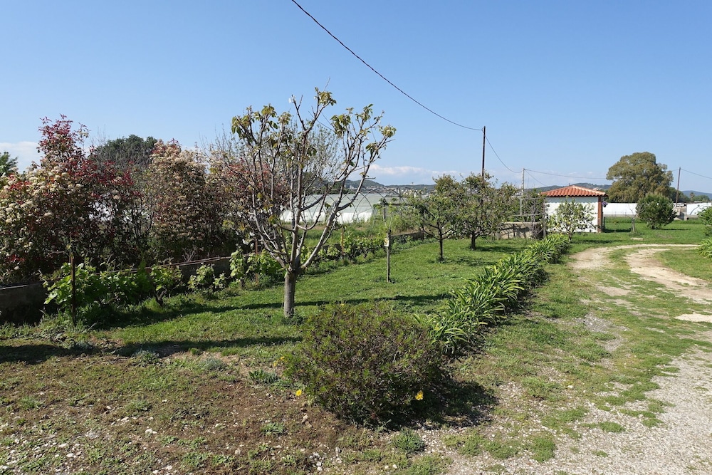 Photo 44