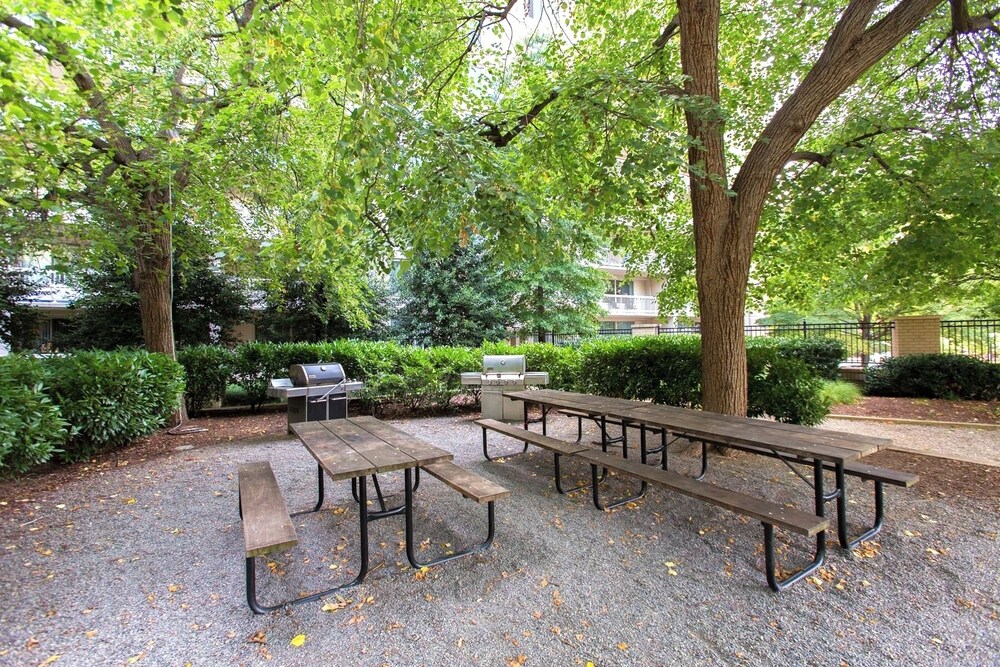 Airport Proximity- Apt in Crystal City