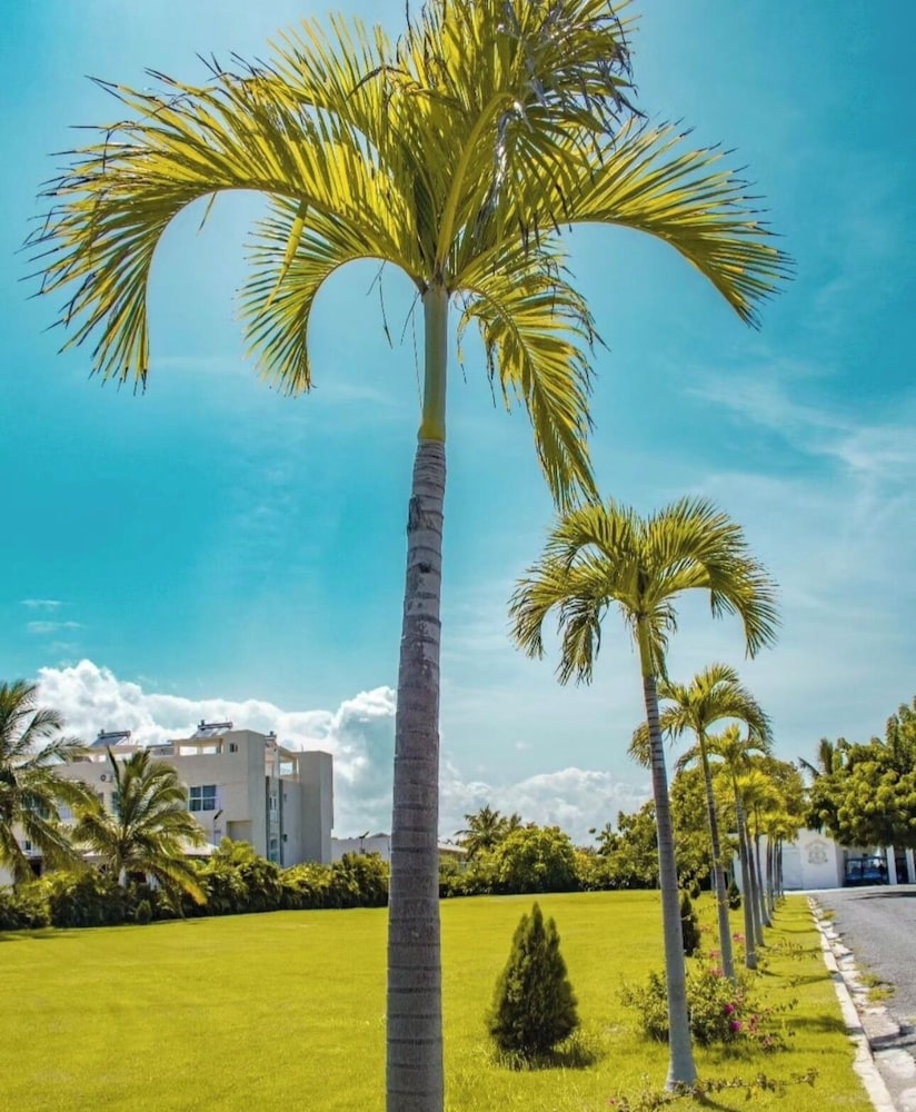 Playa Palmera Beach Front Apartments