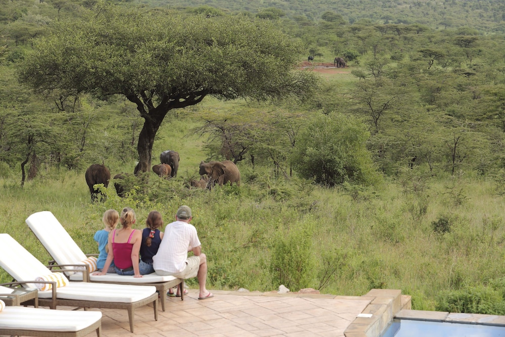 Spirit Of The Masai Mara