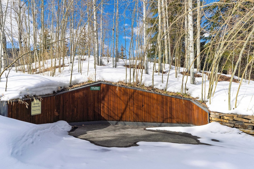 Luxury Mountain Estate w/ Indoor Pool, Gym & Hot Tub Near Keystone | Sleeps 19