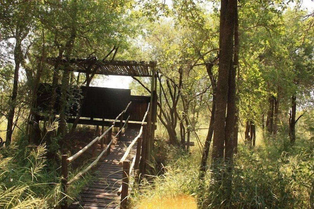 Offbeat Safaris
