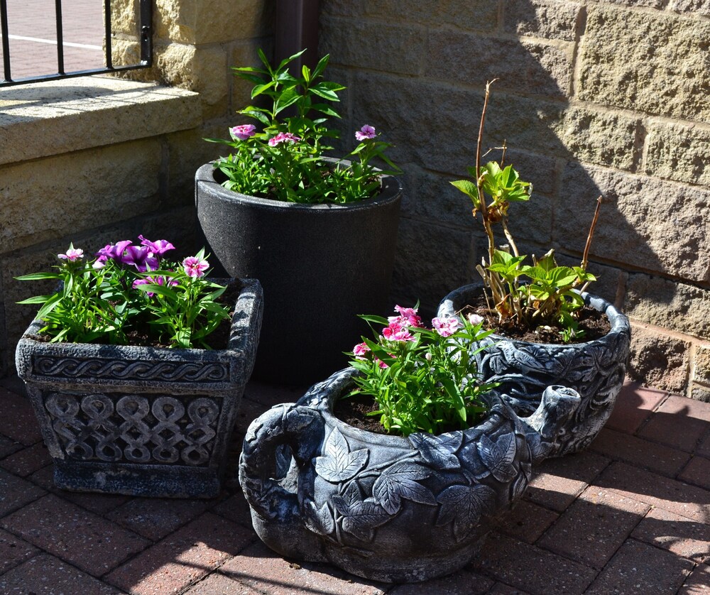 Castle Green Bed and Breakfast