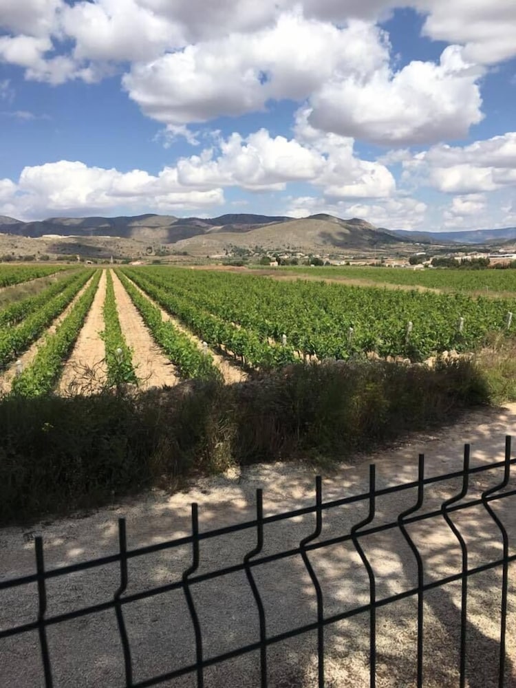 Alegría view 4