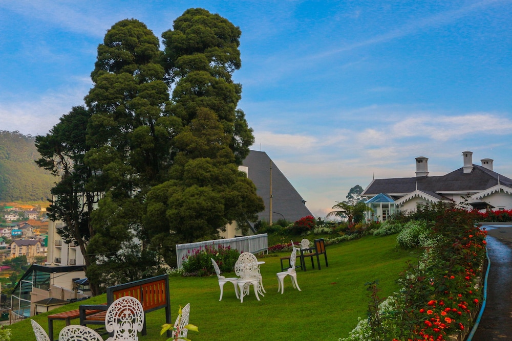 The Clovelly Bungalow