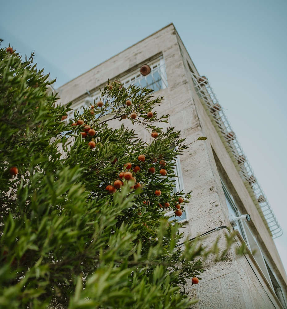 OliveTreeHostel, photo 17