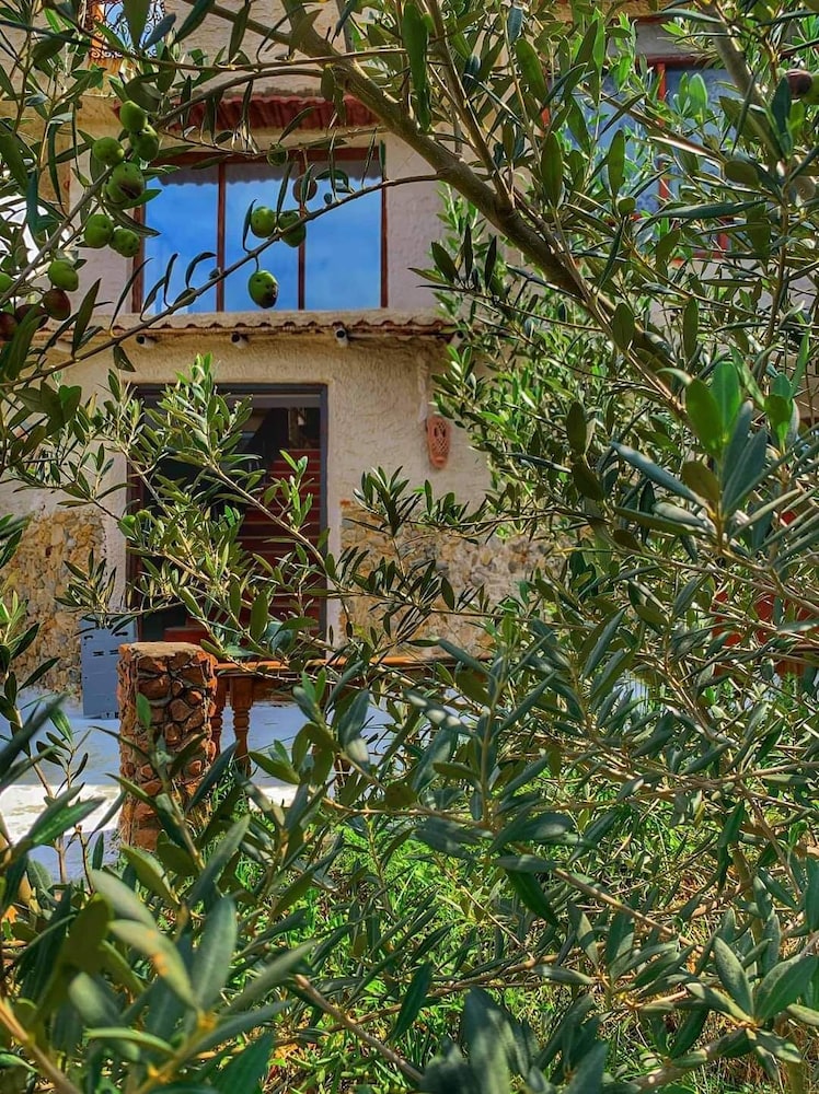 Zembretta Farm-Zembrettita