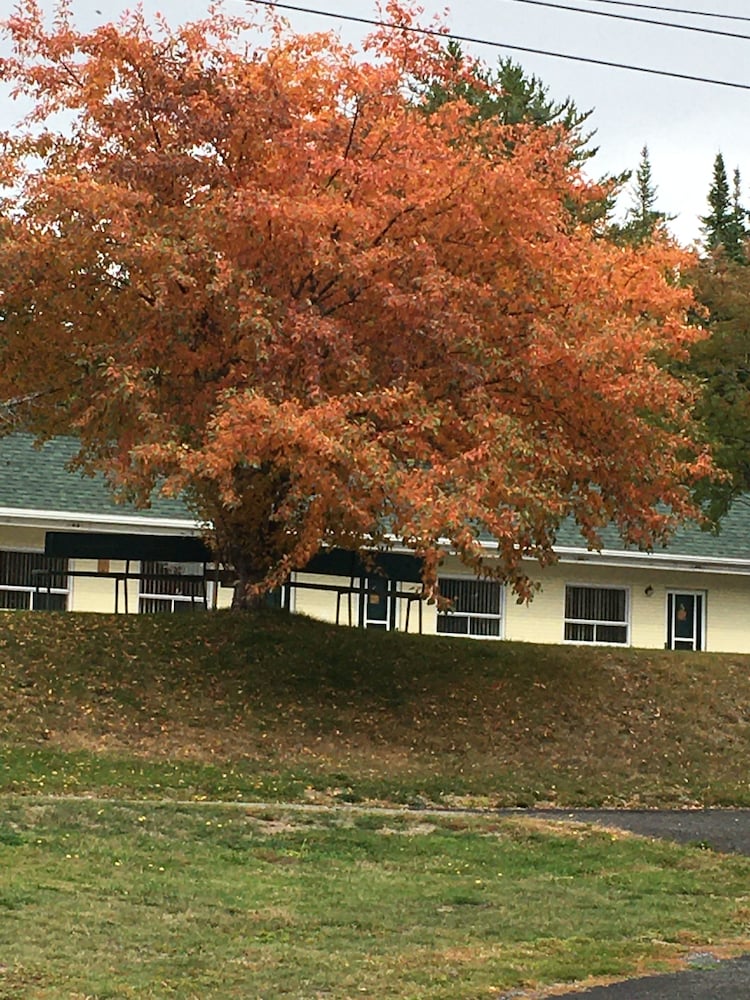 La Roma Motel