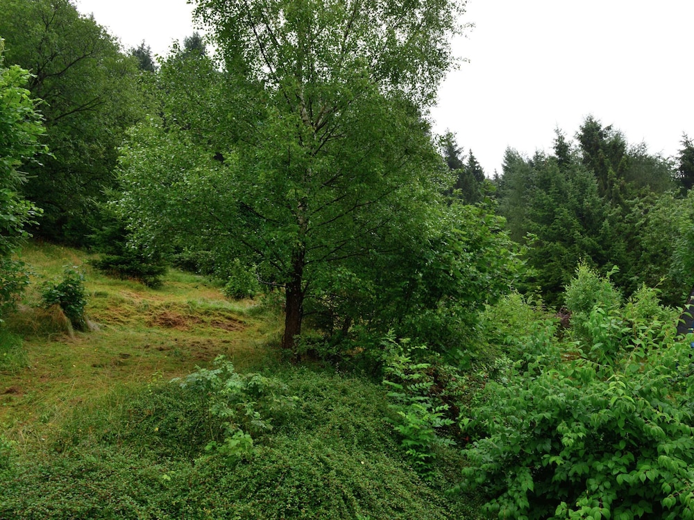 Spacious Apartment in Rattlar near Forest