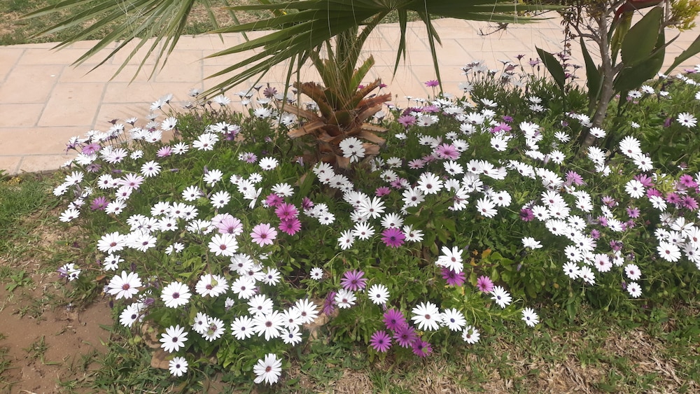 Dar Kamy, photo 34