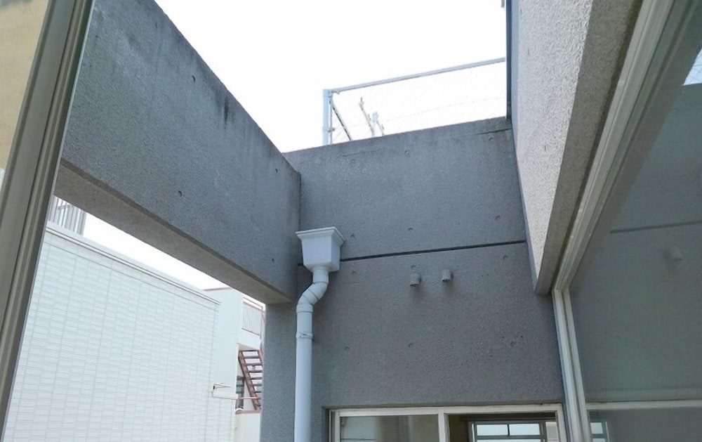 Pacio Nijo view 4