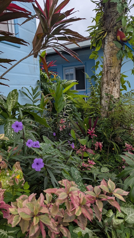 Pachamama Bay Club