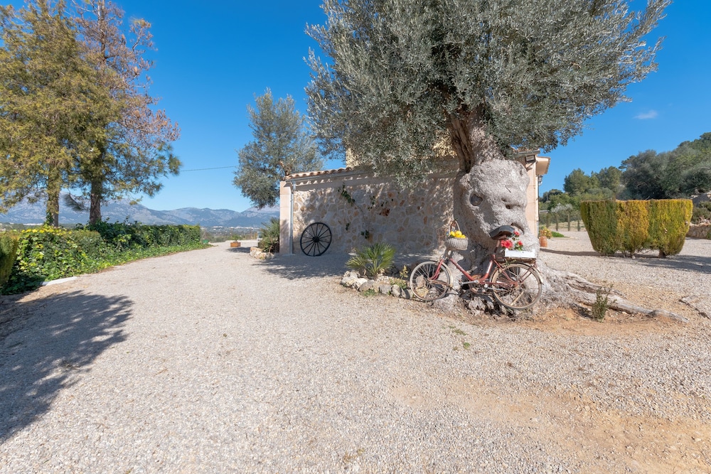 Finca Can Rebasso