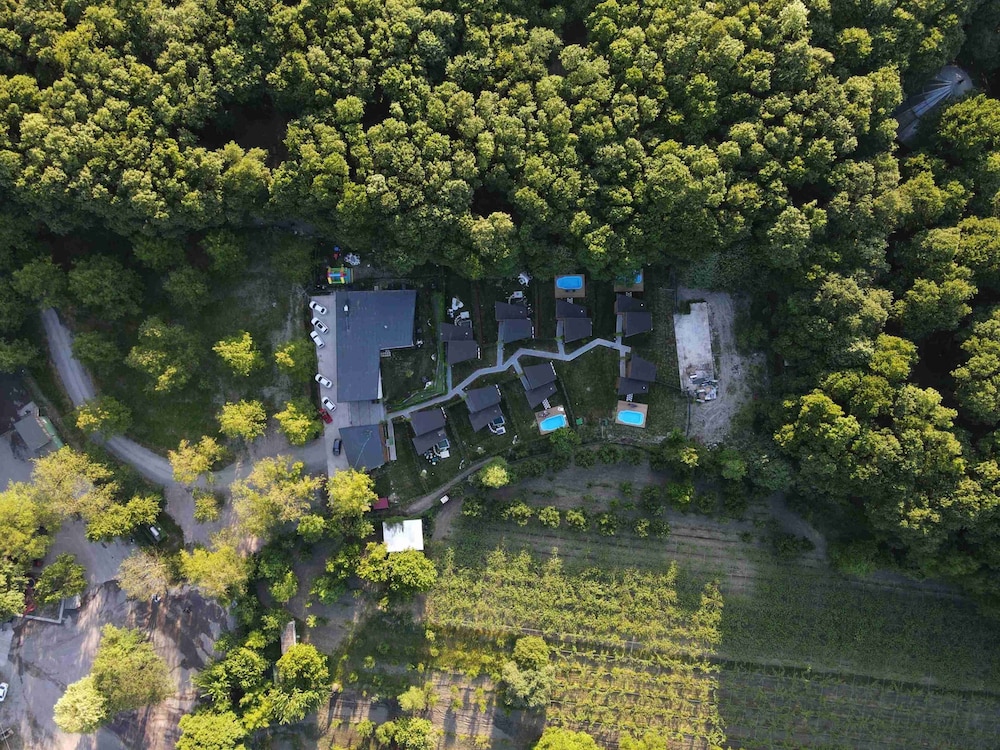 Backyard Sapanca - Property Image 6