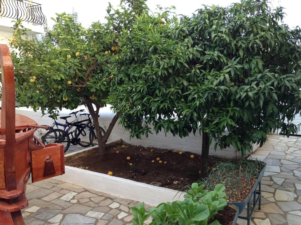 Photo 27