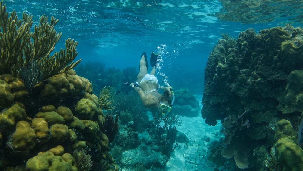 Ranguana Caye Cabanas