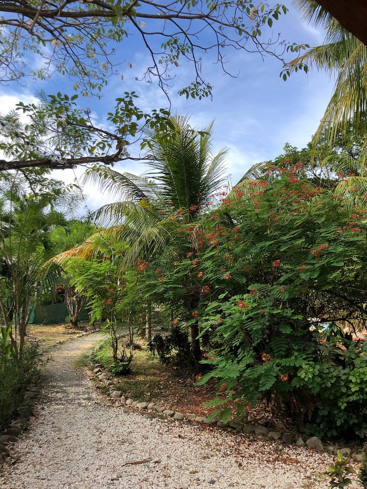 Don Jons Lodge -Surf & Yoga