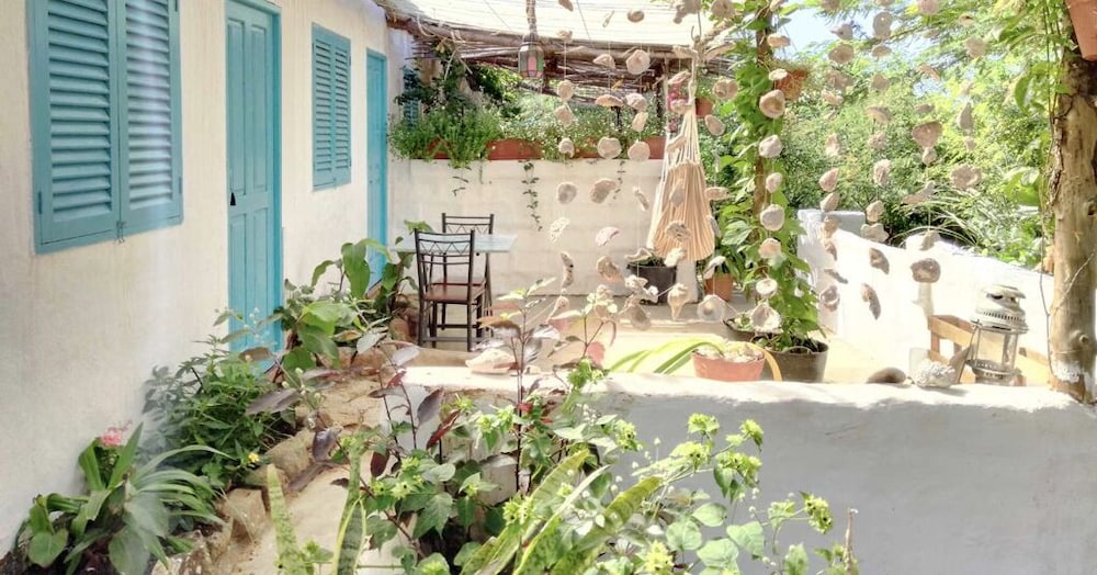 Farinha de Pau - Eco Rural Project